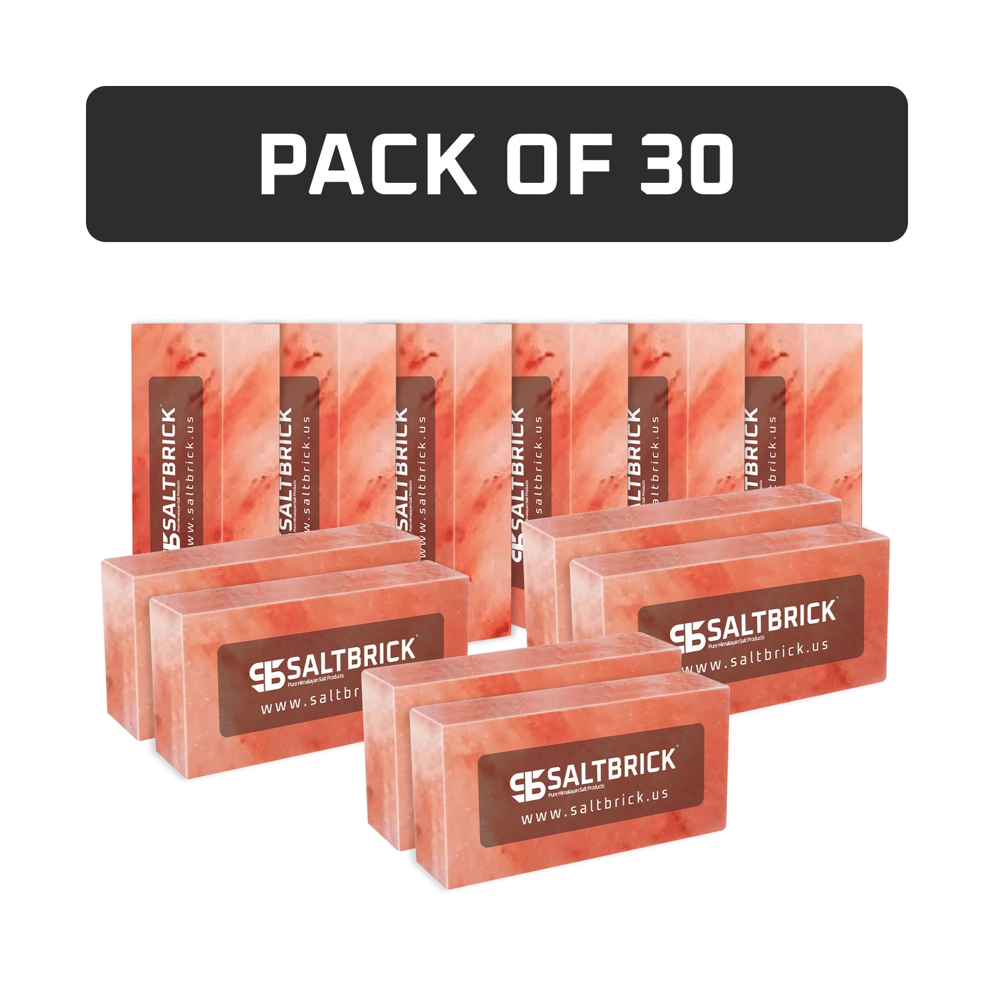 Salt Bricks Pack of 30