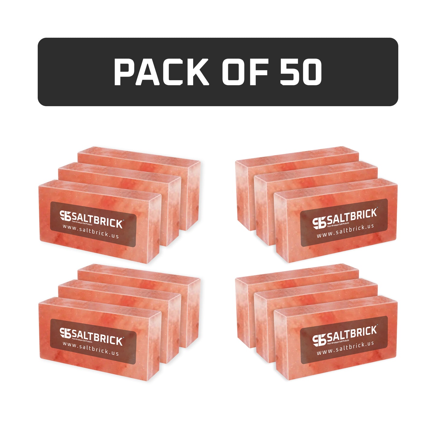 Salt Bricks Pack of 50