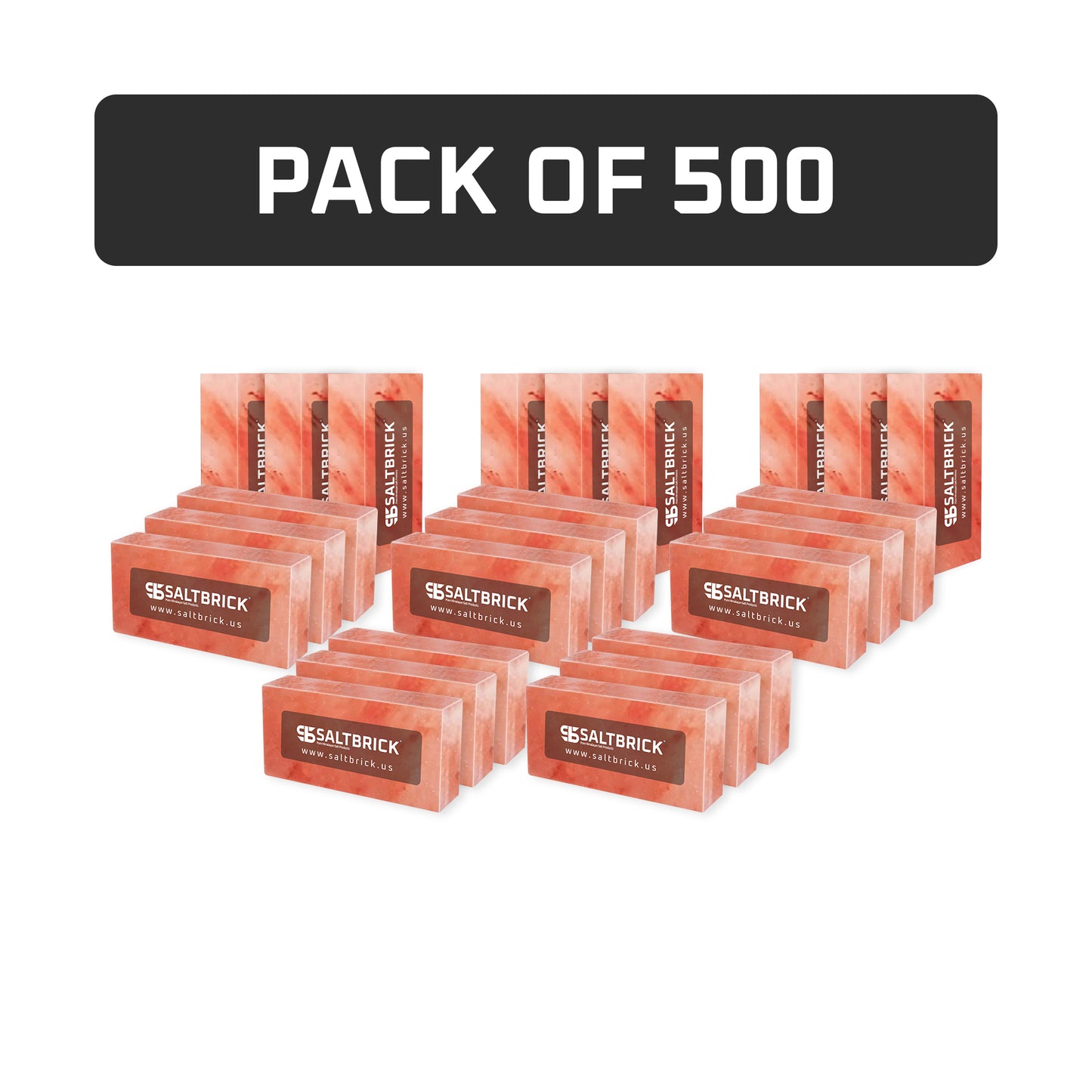 Salt Bricks Pack of 500