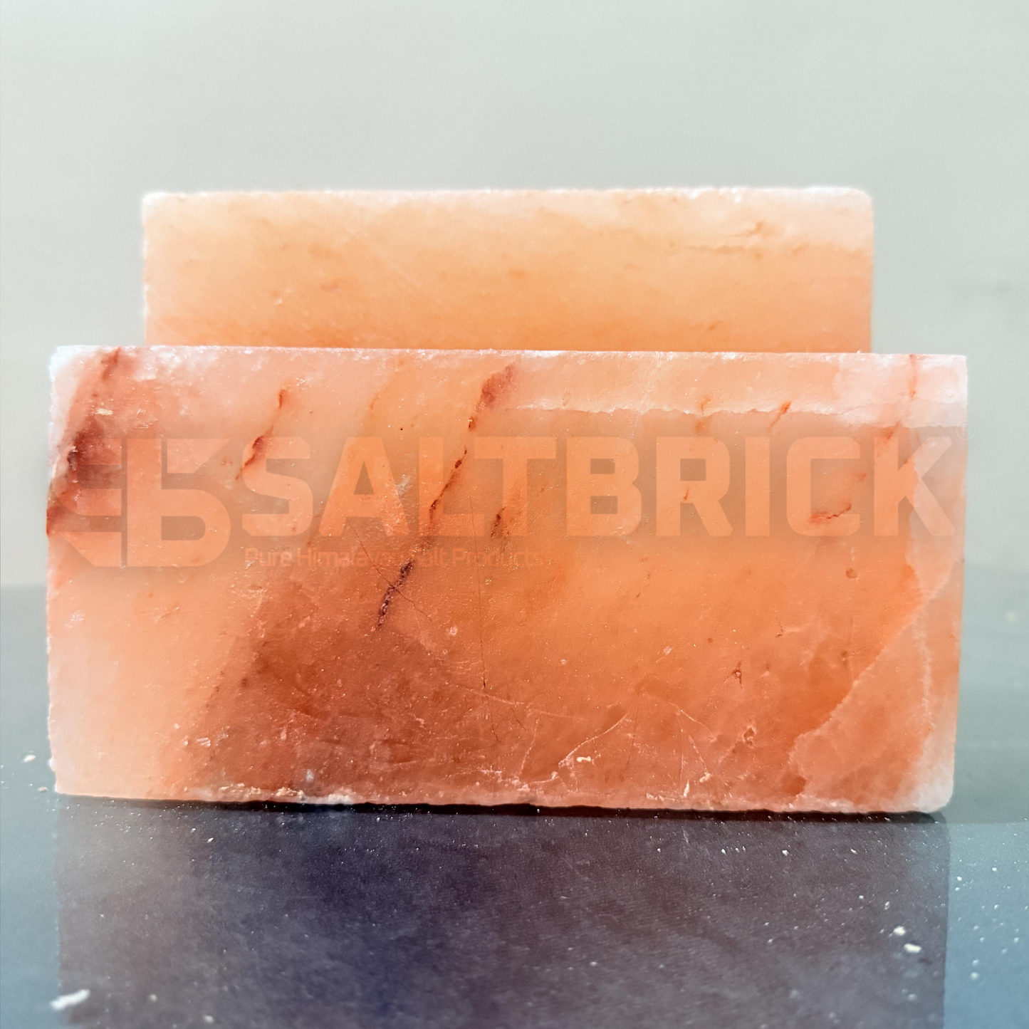 Two pink Himalayan salt bricks on a gray background with 'SALTBRICK' branding.