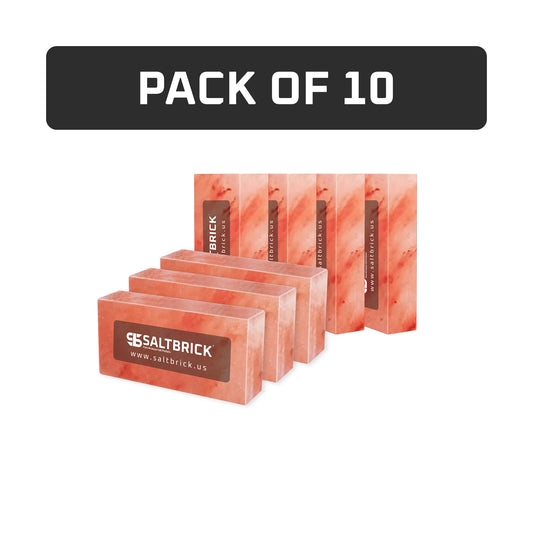 Salt bricks pack of 10
