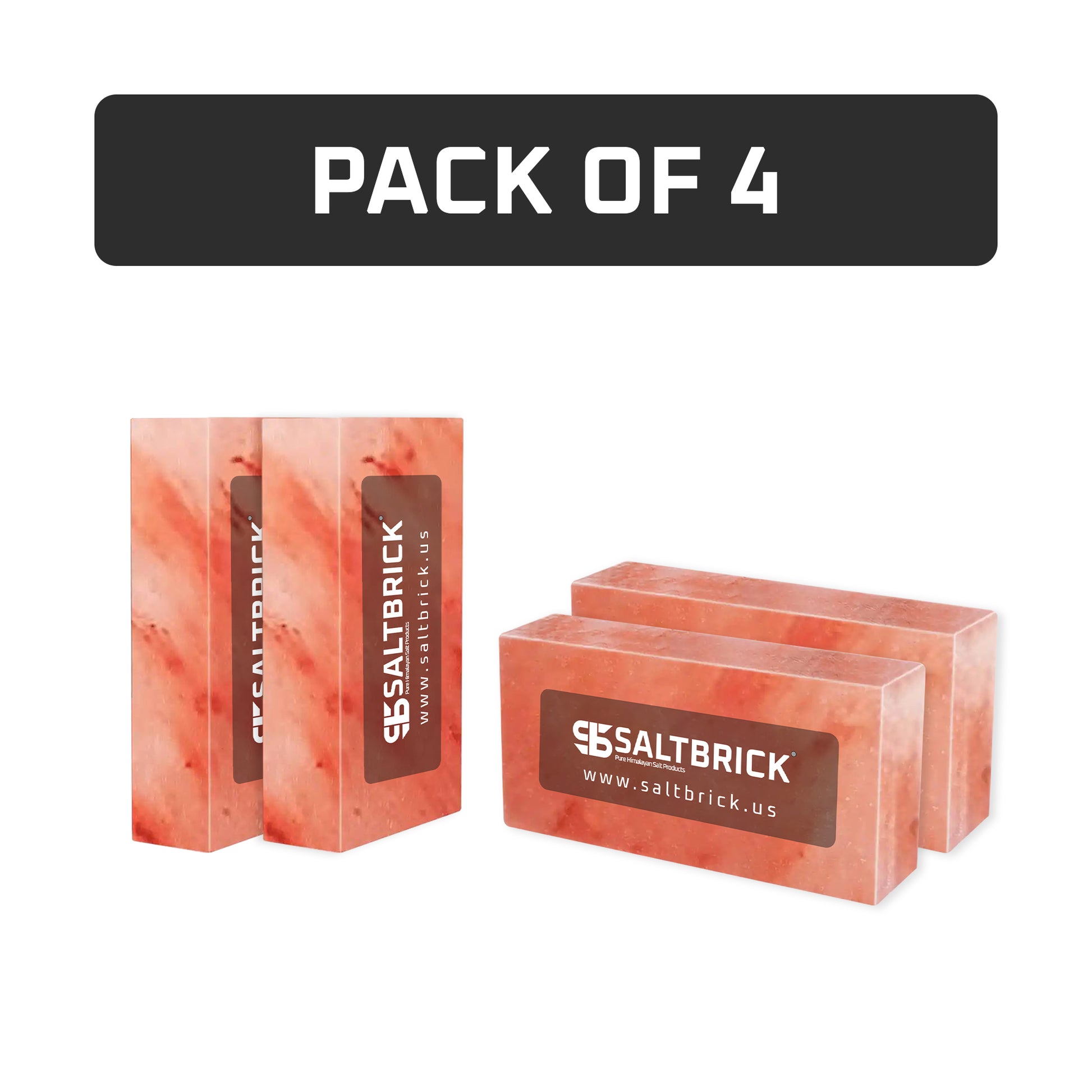salt bricks pack of 4