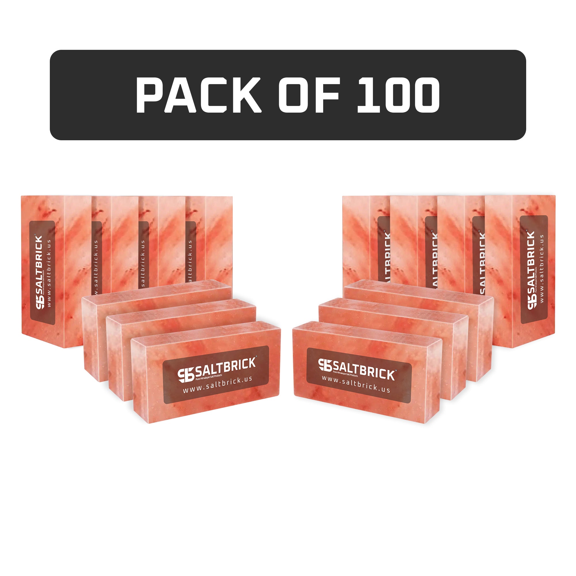 Salt Bricks Pack of 100