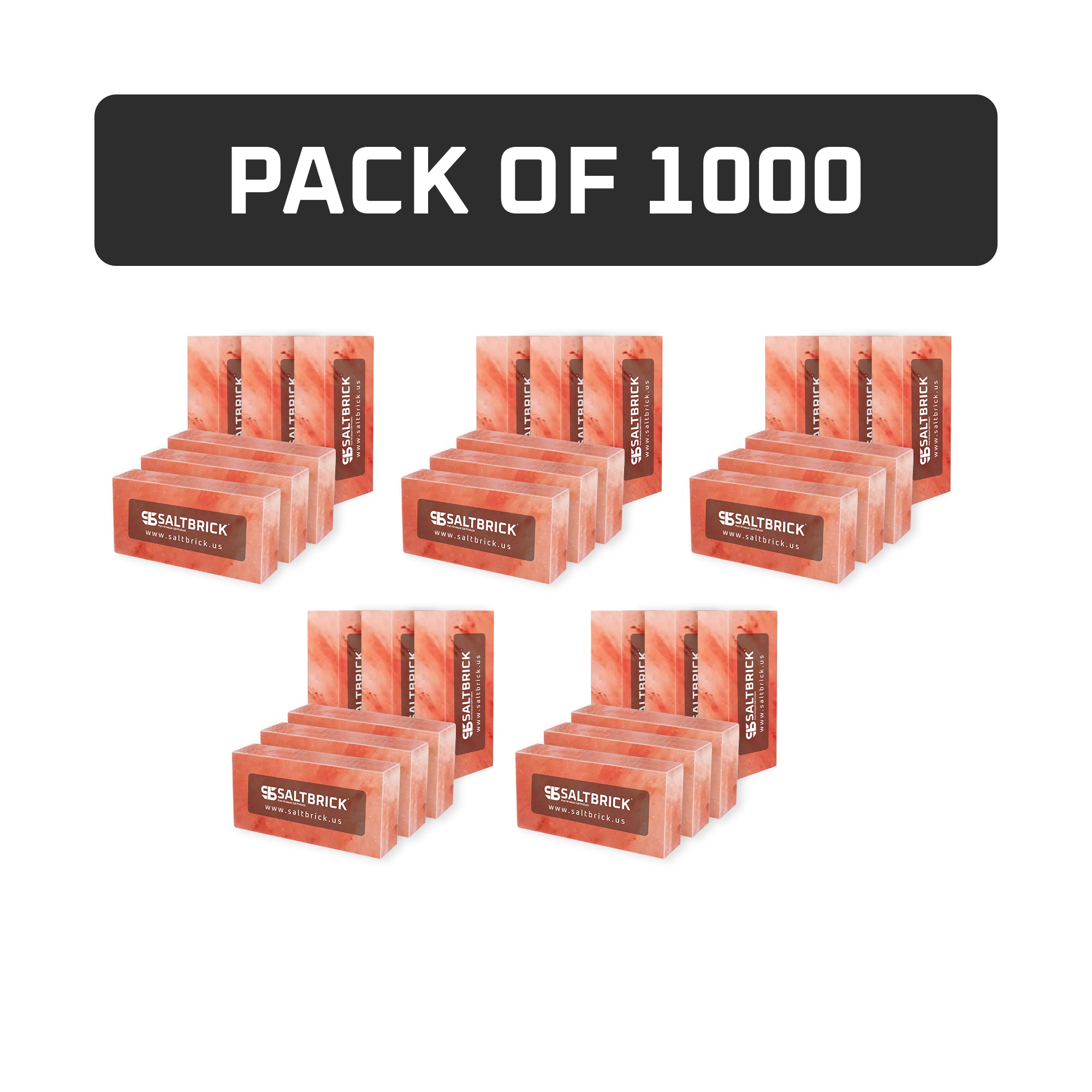 1000 Salt Bricks