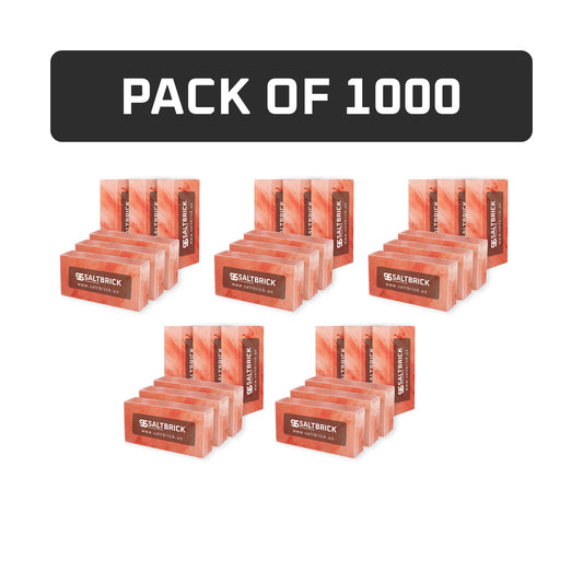 1000 Salt Bricks