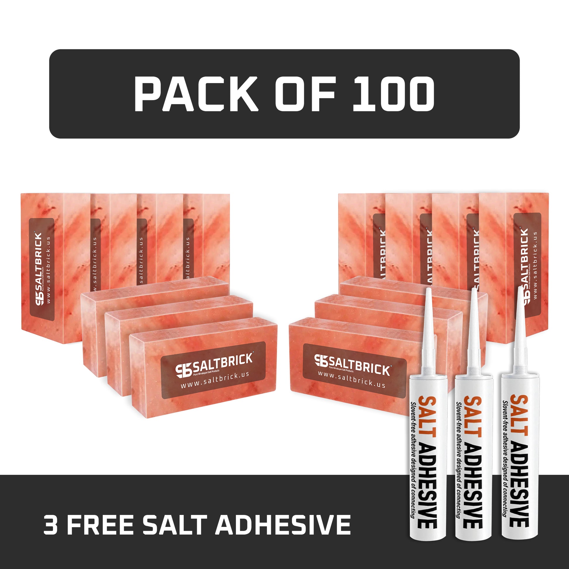 Salt Bricks Pack of 100