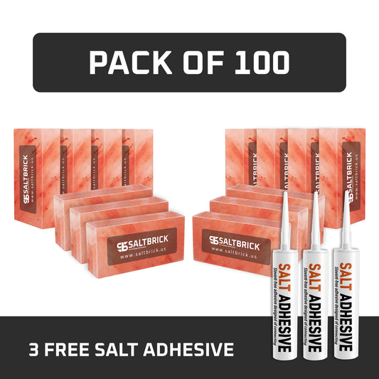 Salt Bricks Pack of 100