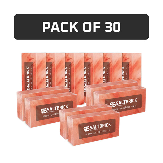 Salt Bricks Pack of 30