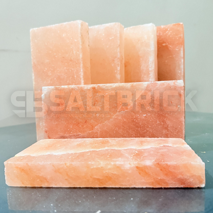Himalayan salt block with 'SALTBRICK' branding on a gray background