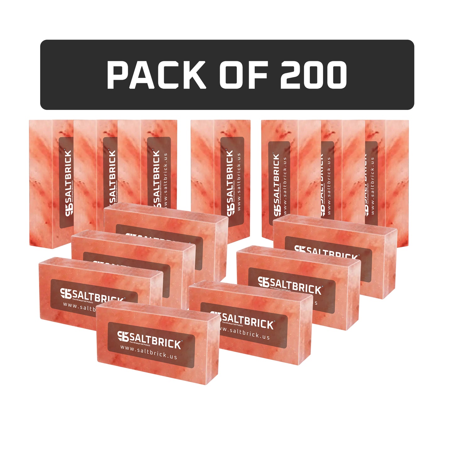 200 salt bricks