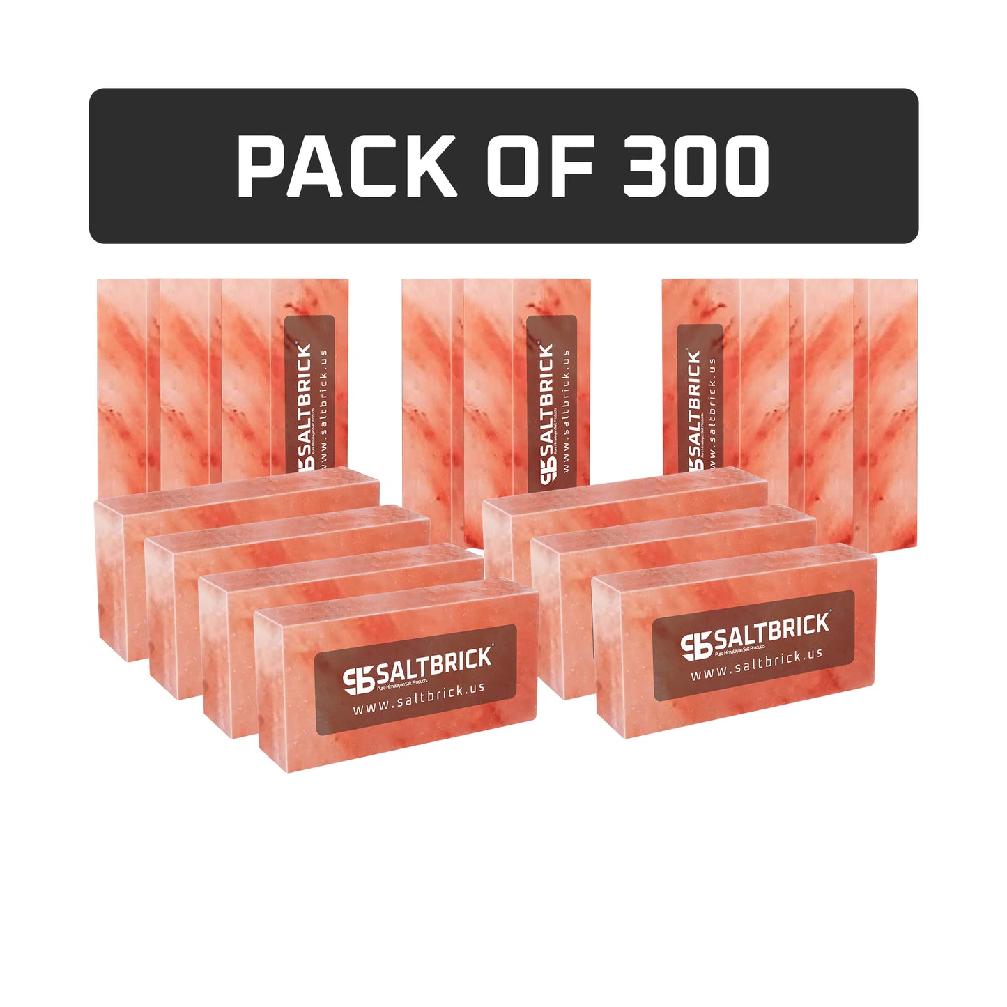 300 Salt Bricks