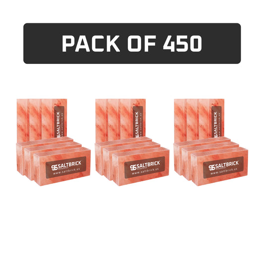 450 salt bricks