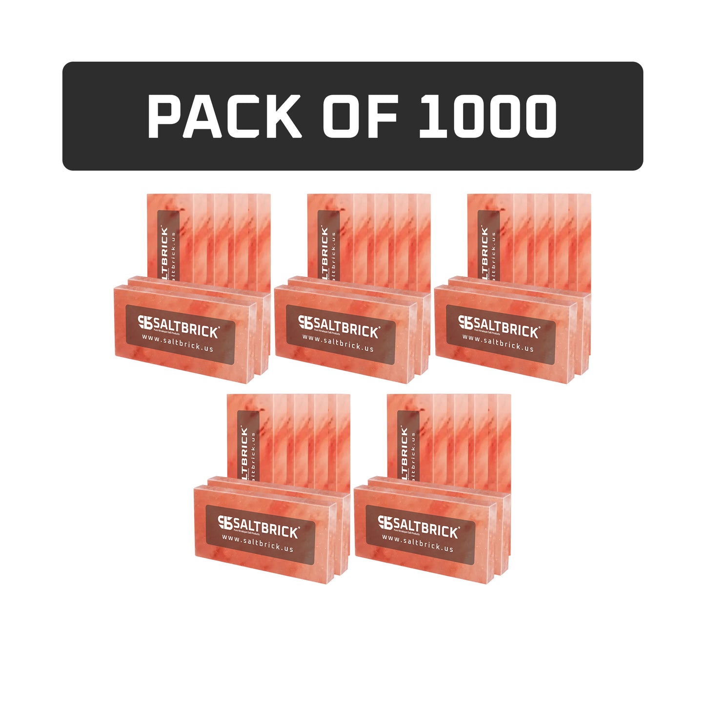 1000 salt bricks