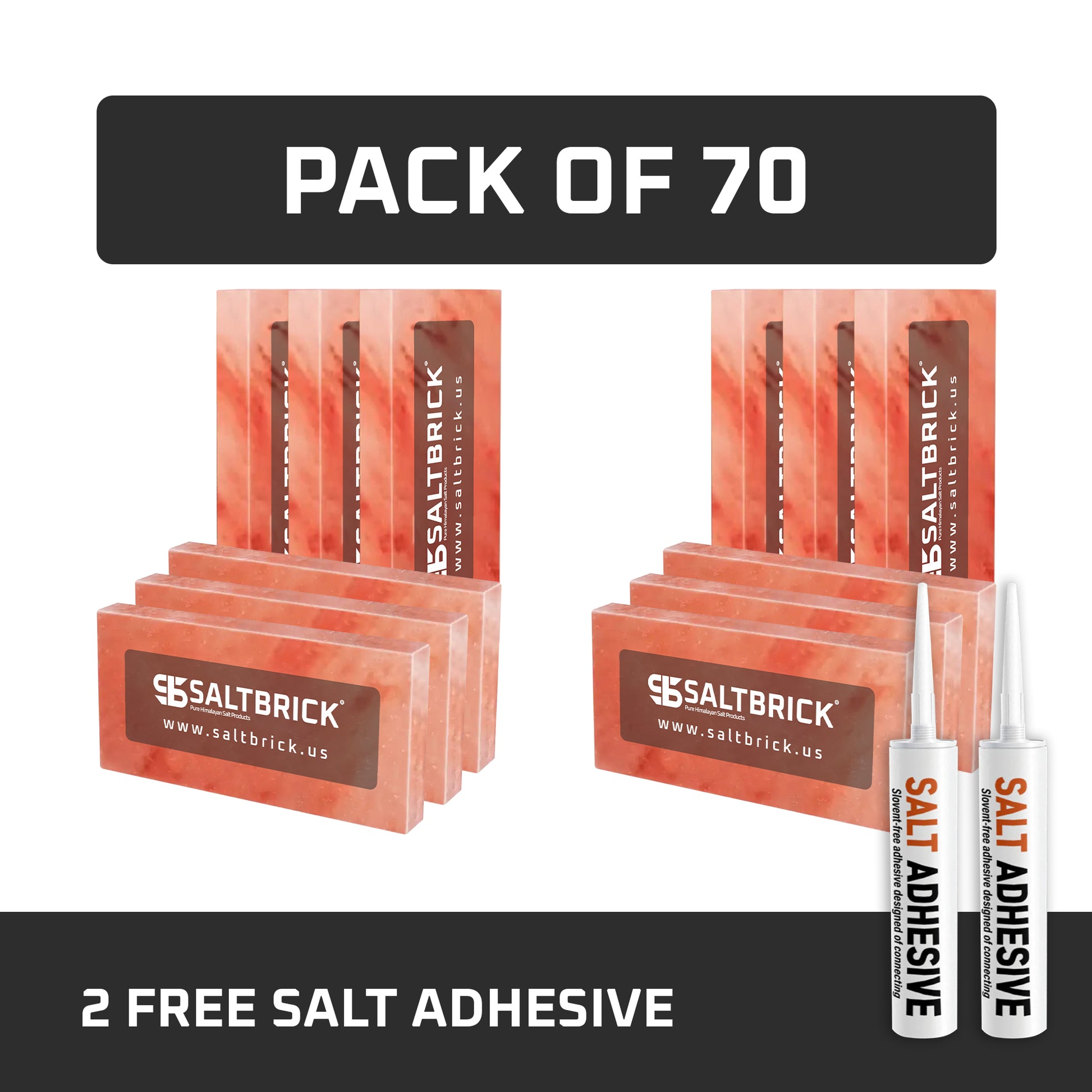 70 Salt Bricks